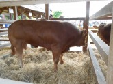 DSCN4806.JPG