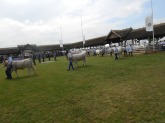 DSCN4812.JPG