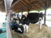 DSCN4817.JPG
