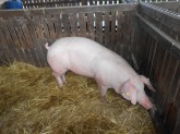 DSCN4820.JPG