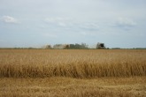 IMG_0009.JPG