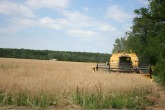IMG_0065.JPG