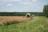 IMG_0077.JPG