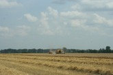IMG_0674.JPG