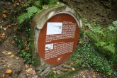 IMG_3537.JPG