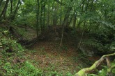 IMG_3540.JPG