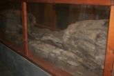 IMG_3551.JPG