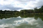 IMG_3629.JPG