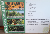 20230418_095527.jpg