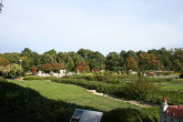 IMG_4244.JPG