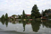 IMG_4345.JPG
