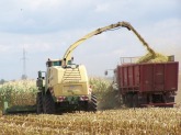 silo 012.jpg