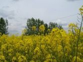 100_5634.JPG