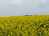 100_5644.JPG